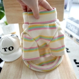 Pet Biebeli Bel Mei xuenari маленький собачий щенк