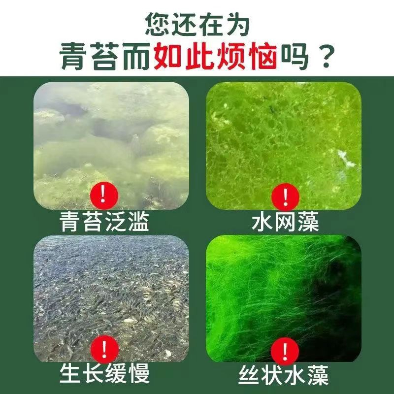 一次净】鱼塘青苔克星不伤鱼虾蟹速杀青苔去除剂绿水池绿藻清除 - 图0