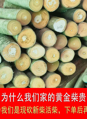 四川深山柴火摆件黄金柴家居装饰