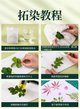 植物树叶敲拓染锤幼儿园儿童diy