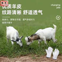 Goat Two-story Electric Welding Driver Gloves Sheepskin Cow Leather Welding Welders Special Cattle Two-story Labor Protection Gloves Anti-Burn