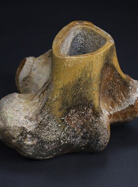 古玩杂项旧藏珍藏高仿动物骨骼化石笔筒摆件老物件摆件