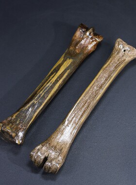 古玩老货民间收藏老旧物件兽骨雕刻甲骨文镇纸镇尺文房用品摆件