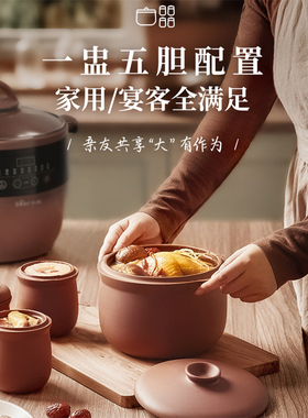 小熊全自动养生大容量智能炖锅