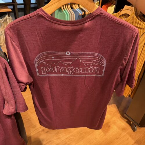 日本代购正品patagonia巴塔CapCoolDaily C1男士速干短袖T恤45508 - 图2