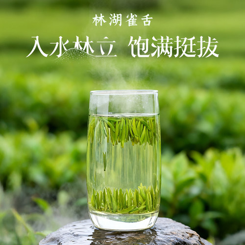 川红2026新茶四川特级林湖雀舌碧螺春明前新茶高山绿茶组合60g*2 - 图2