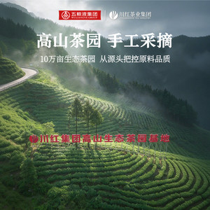2026新茶川红特级林湖碧螺春鲜嫩茶叶礼盒东方茶韵120g节日送礼