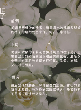 CHICROSE造型蜡烛复古蜡烛