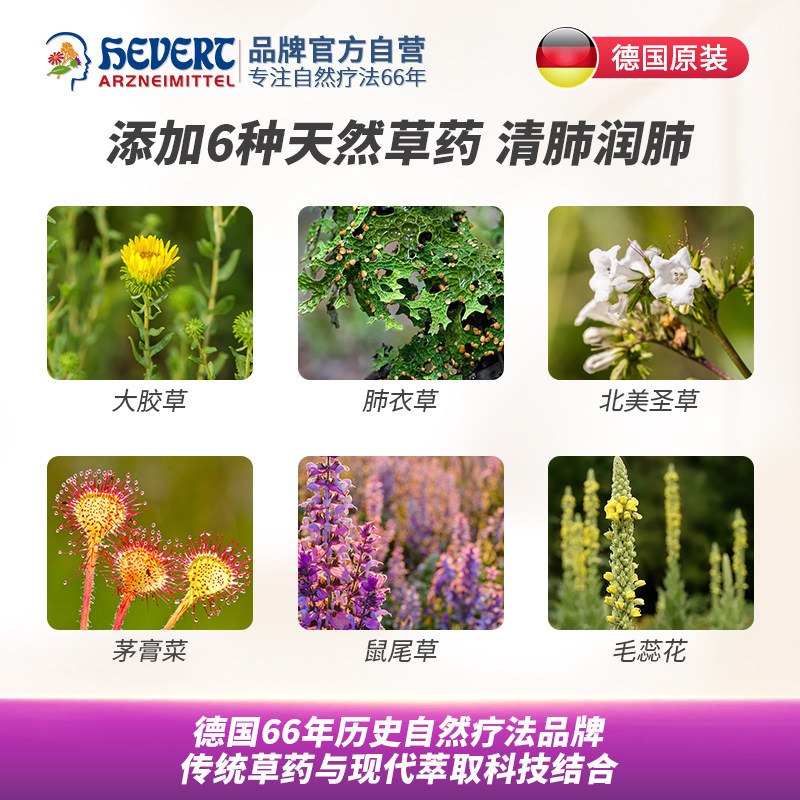 菲德hevert清肺片感冒呼吸道咳嗽药 heideapotheke海外国际感冒咳嗽用药