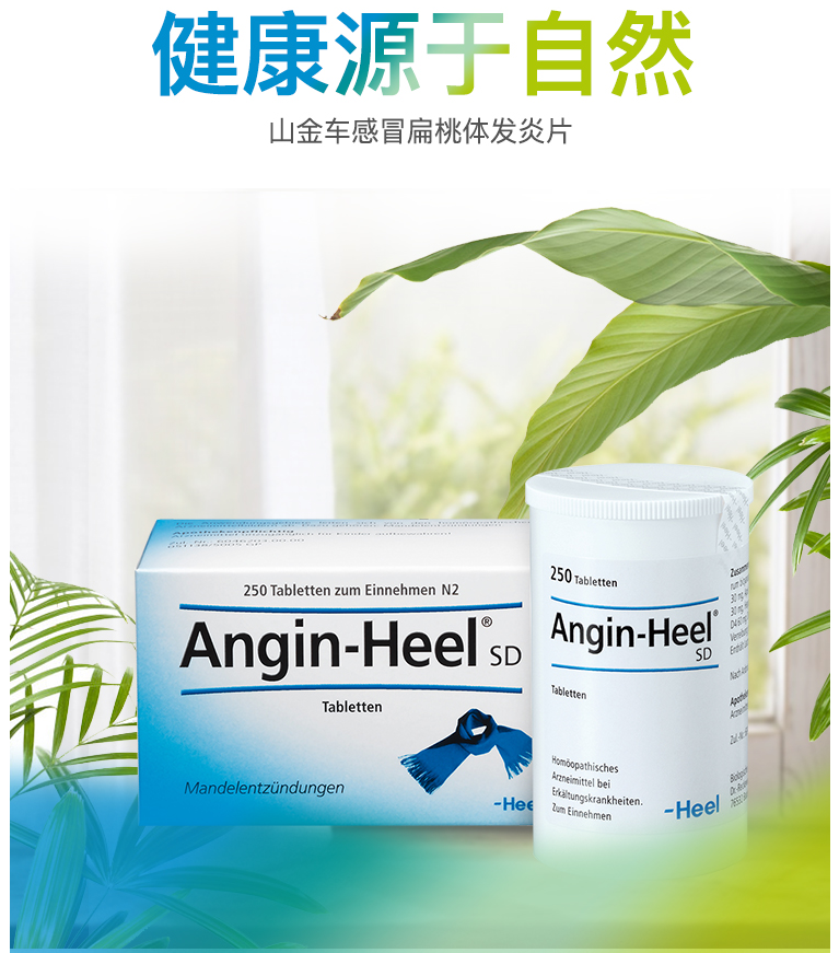 德国heel感冒咳嗽咽痛扁桃体发炎 heideapotheke海外国际补益安神