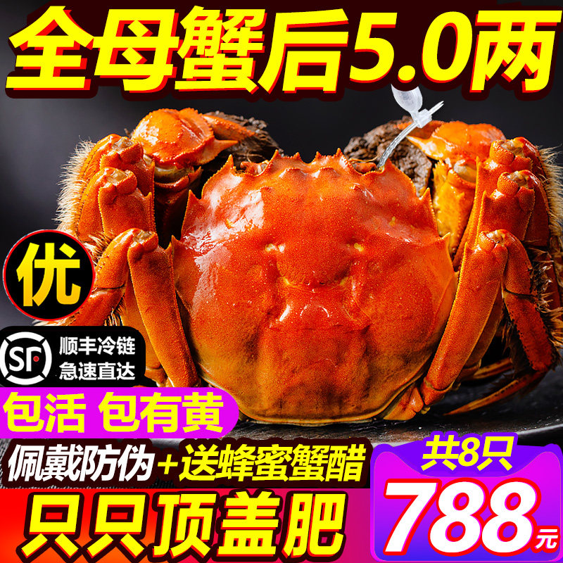 活蟹6.0大闸蟹鲜活阳澄蟹礼现货10只蟹王特大公全母螃蟹官方旗舰,淘宝优惠券,粉丝福利购,淘宝优惠卷
