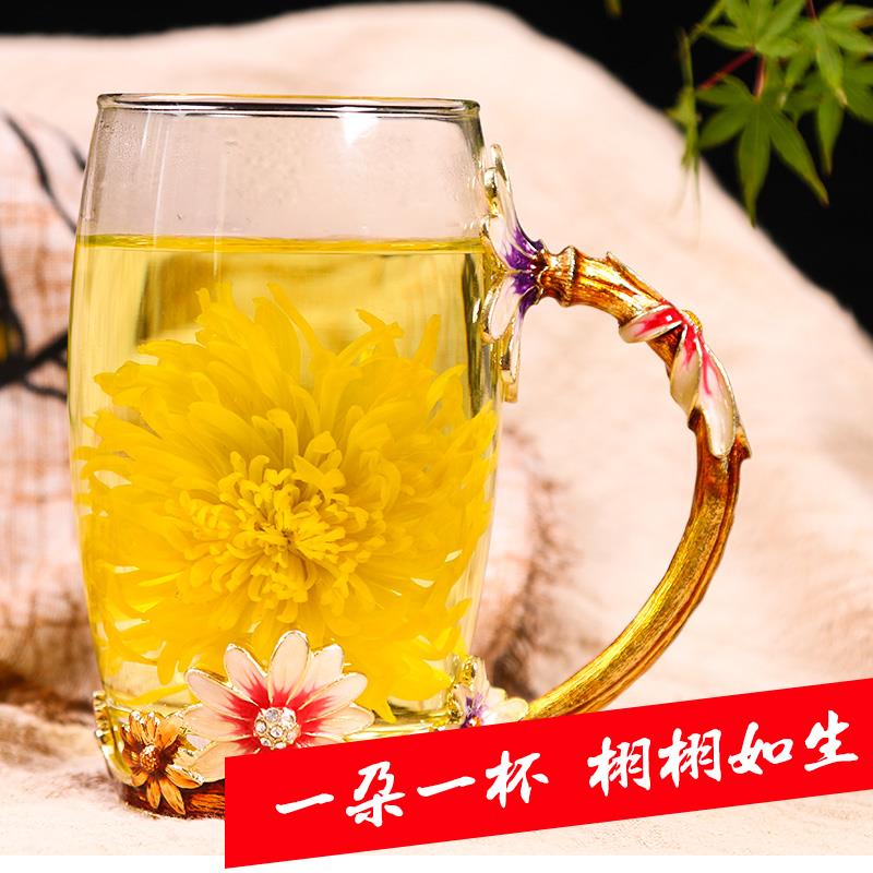 东浒寨金丝皇菊花茶一朵一杯礼盒装大黄菊花修水贡胎菊官方旗舰店