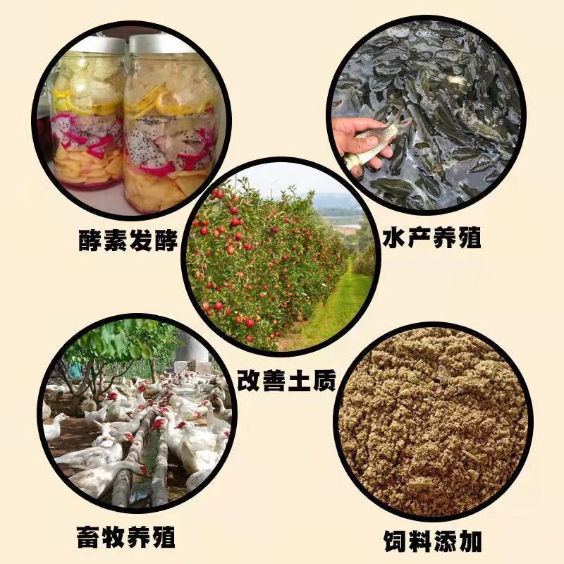 兽用红糖畜牧养殖猪牛羊鸡鸭鹅水产工业农用EM菌发酵散装红糖50斤