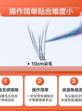 鱼尾款单簇分段式自然种植假睫毛