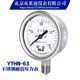 Brady Beijing stainless steel shock-resistant pressure gauge genuine