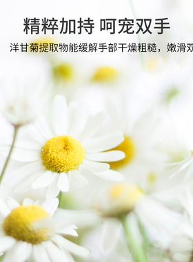 洋甘菊护手霜防干裂滋润保湿清爽不粘腻细腻嫩肤秋冬修护细腻嫩滑
