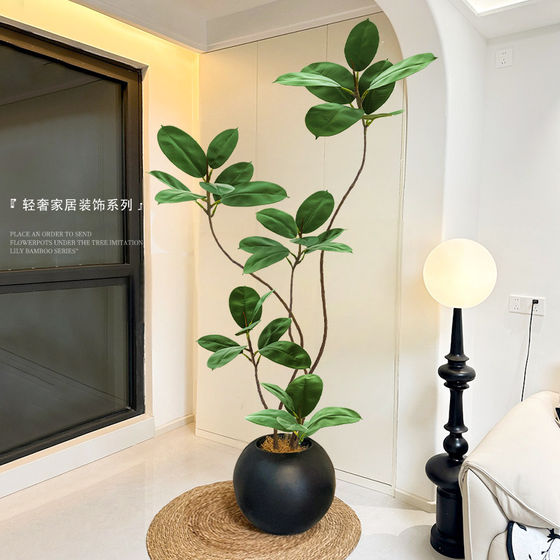 Simulated green plant black diamond rubber tree
