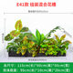 Simulated green plant combination ornaments flower design