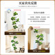 Simulated green plant Ficus fiddleleaf ficus floor-standing potted indoor large-scale bionic plant ornaments living room light luxury decorative flower fake tree