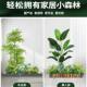 Simulated green plants and landscaping, high-end luxury green plants and fake trees