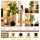 Simulated plant alpine ficus floor-standing potted bionic green plant