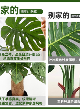 仿真绿植龟背竹办公室内直播间