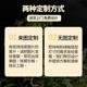 Simulated green plants, Mazui wood landscaping combination decoration