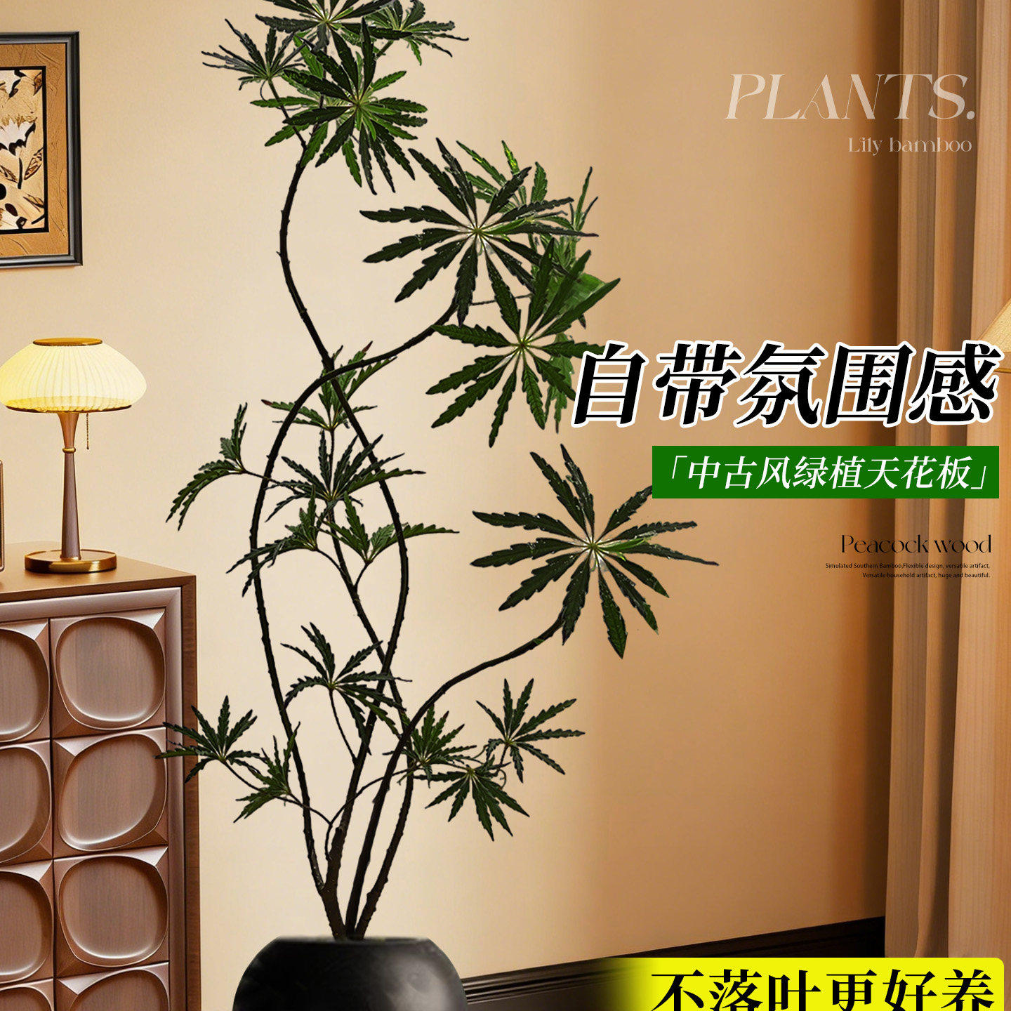 孔雀木客厅绿植盆栽高级感室内大型植物办公室好养高端大气上档次,淘宝优惠券,粉丝福利购,淘宝优惠卷