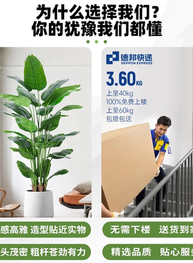 天堂鸟仿真花假摆设客厅