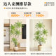 Simulated nandina bamboo indoor potted plants, fake green plants for decoration, large floor-standing ornaments, light luxury, anti-real green plants for living room