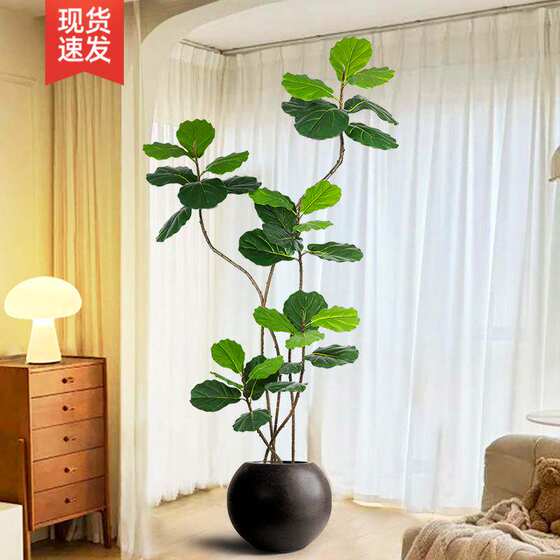 Simulated plant Ficus fiddleleaf ficus floor-standing potted bionic green plant