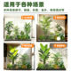 Simulated plant landscaping combination indoor landscape artificial trees