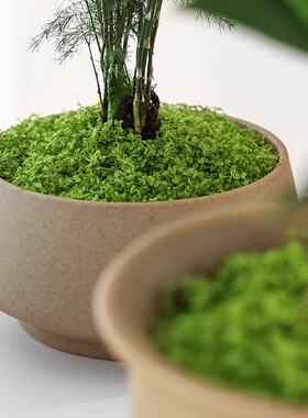 仿真苔藓草皮微景观布置摆件