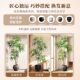 Peacock wood simulated green plants high-end light luxury