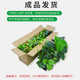 Simulated green plant combination ornaments flower design