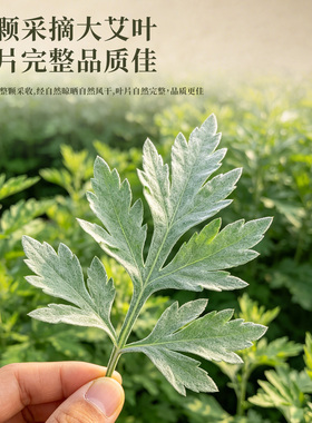 端午节艾草花束端午入户门挂饰
