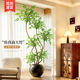 Simulated green plants, high-end light luxury nandina potted plants