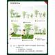 Simulated plant landscaping balcony landscape layout indoor