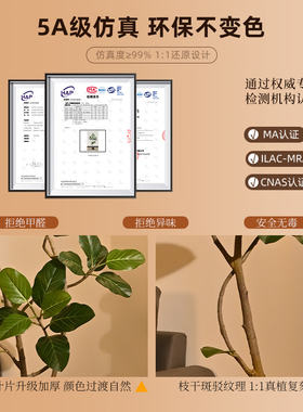 室内高级感仿真绿植装饰摆件