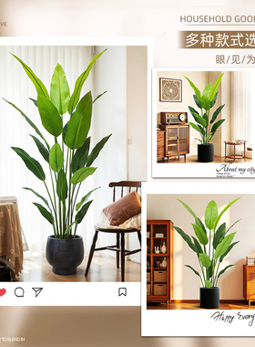 仿真绿植美人蕉假植物大型