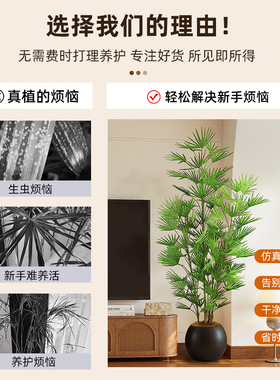 摆件装饰中古风仿真绿植