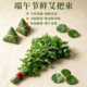 Dragon Boat Festival decoration pendant fresh mugwort pendant