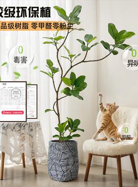 孟加拉榕仿真绿植落地大型摆件