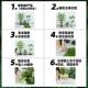 Simulated green plants and landscaping, high-end luxury green plants and fake trees