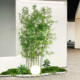 Bamboo landscaping simulation green plants interior decoration