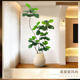 Simulated green plant Qin Ye Rong living room bionic green plant