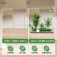 Simulated plant landscaping balcony landscape layout indoor