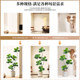 Simulated green plant Ficus fiddleleaf ficus floor-standing potted indoor large-scale bionic plant ornaments living room light luxury decorative flower fake tree