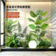 Large indoor landscape simulation green plant landscaping combination