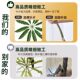 Peacock wood simulated green plants high-end light luxury